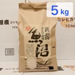 2026年最新】魚沼産コシヒカリの人気アイテム - メルカリ