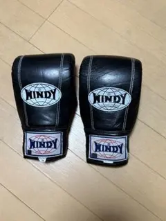 WINDY ボクシンググローブ 黒