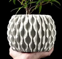 naka24様 リクエスト 2点 まとめ商品