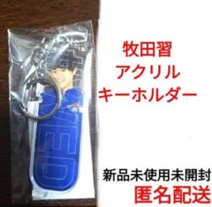 猫のひたいほどワイド グッズ アクリルスタンド 事後通販（受注販売）】猫のひたいほどワイド-アクリルスタンド