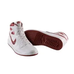 NIKE Air Jordan 1 ガチャ METALLIC BURGUNDY