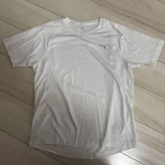 PUMA ホワイト Tシャツ