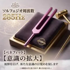 2026年最新】ソルフェジオ音叉の人気アイテム - メルカリ