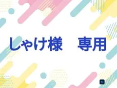 しゃけ様 専用
