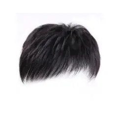 ウィッグ ウィッグ・エクステ