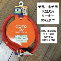 Item thumbnail for item 189495a9-4d2f-479c-9e2d-bf261b9df170