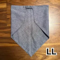 Item thumbnail for item e51c3804-b778-4cb6-8f99-1d8207d1b7c8