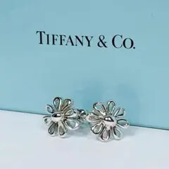 TIFFANY ティファニー インフィニティ ピアス シルバー - メルカリ