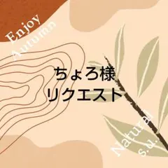 ちょろ様 リクエスト 2点 まとめ商品