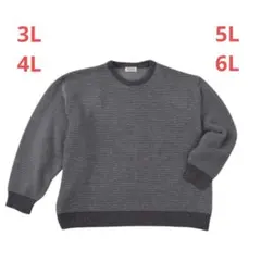 PLES 7Gガーター 天竺クルーネック シンプル セーター 6ga