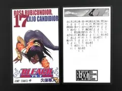 BLEACH ブリーチ 巻頭歌骨牌 17巻 夜一 かるた