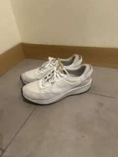 Item thumbnail for item 35d31d60-9c46-4eb0-b0dc-e561862fe9bc