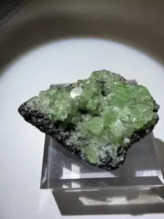 Altyn-Tyube産 ダイオプテーズ 水晶共生 台座付 - メルカリ