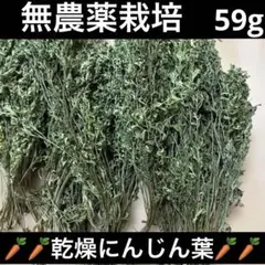 完全無農薬乾燥にんじん葉59g小動物用おやつのサムネイル