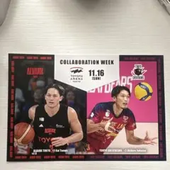 アルバルク東京 スポーツ選手