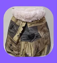 Item thumbnail for item 21010e58-4dce-43bd-8a8c-f8dfafbb4adb