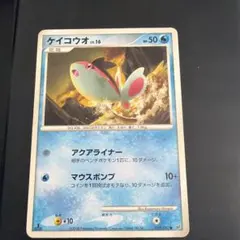 ケイコウオのサムネイル