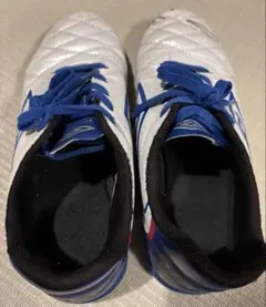 Item thumbnail for item 13efa597-9018-43c8-91c9-859ded37b506