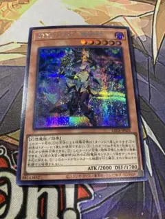 遊戯王　　幻惑の見習い魔術師　ナイトメアアプレンティス　シークレット