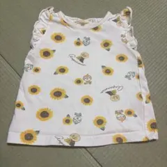 Item thumbnail for item bb65bd52-7c1b-4bc8-b5e5-28b90108a071