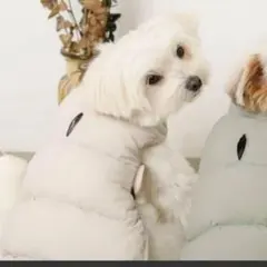 moncheri ダウンベスト アウター Sサイズ ベージュ