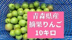 摘果りんご 10kg　青森県産　加工用のサムネイル