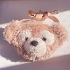 ダッフィー　ディズニー　パスケース