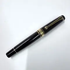 セーラー NAG 万年筆 プロフィット21 梨地 N-MF 長刀研ぎ 21K - メルカリ