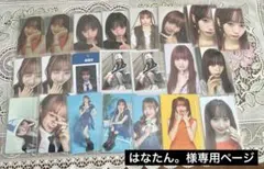 はなたん。様専用ページ