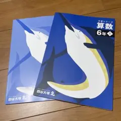 バラ売り可能予習シリーズ　6年上セット 四谷大塚 予習シリーズ準拠 2019年度実施 週テスト問題集 6年上 理科