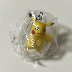 ポケモンゲットコレクションズ遺伝子の共鳴