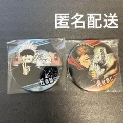 匿名配送】呪術廻戦 USJ コレクタブル缶バッジ 2個セット - メルカリ