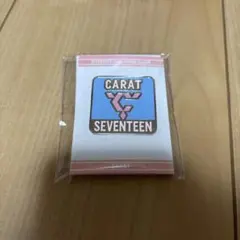 SEVENTEEN CARAT FC入会特典 ピンバッジ