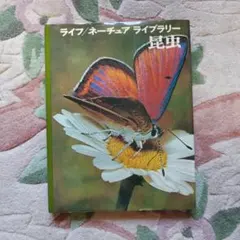 Item thumbnail for item d7e3dcd6-4735-461f-b652-e7c875c53fcc