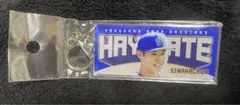 中川颯 横浜DeNAベイスターズ アクリルキーホルダー