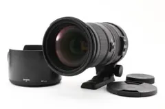 SIGMA APO 50-500mm F4.5-6.3 DG OS 2642