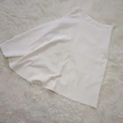 Item thumbnail for item d9340d7e-3fdf-469c-9c58-aeda5e78a4b6