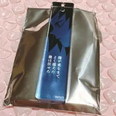 鬼滅の刃　アクキー　冨岡義勇
