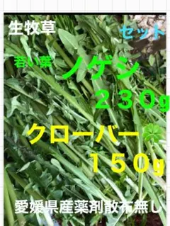 chunacote様 リクエスト 2点 まとめ商品