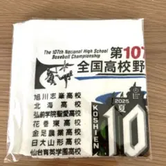 【未開封】第107回全国高校野球選手権大会　タオルハンカチ