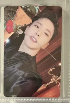 ⭐︎即日発送⭐︎SEVENTEENシーグリ トレカ　ホシ