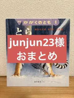 junjun23様 リクエスト 2点 まとめ商品