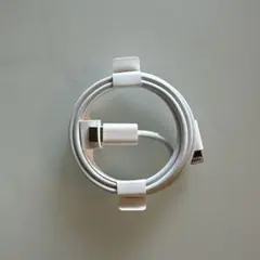 Cタイプ 充電ケーブル Apple純正