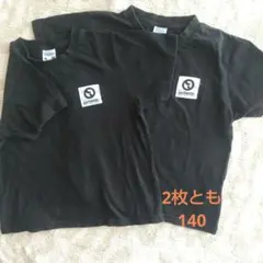 アウトドア Tシャツ 2枚