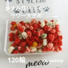 (114)ドライフラワーかすみ草大きめ120輪