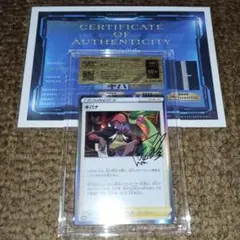 も*か様 ポケモンカード キバナ 228/S-P PROMO　VSS鑑定10＋