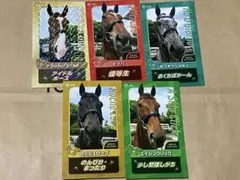 JRA 阪神競馬場 誘導馬カード アフリカンゴールド エイシンクリック ミツバ