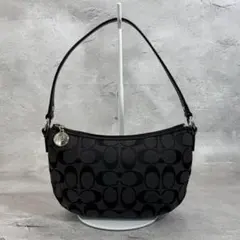 COACH Signature Accessory Pouch Y2K