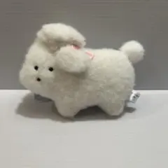 つぶらな瞳の犬 すたんだーど・ぷーどる マスコット