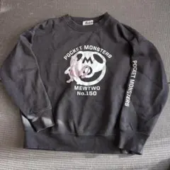 Item thumbnail for item 7ddcb573-2c8e-4494-9d2e-223ce16ed365